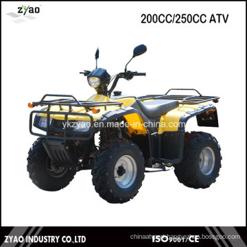 250cc ATV 4 Stroke Cool Sports ATV